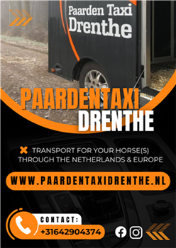 德伦特马出租车 - 荷兰各地的交通